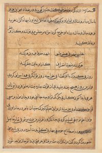 Pagina uit Verhalen van een Papegaai (Tuti-nama): tekstpagina door Unknown artist