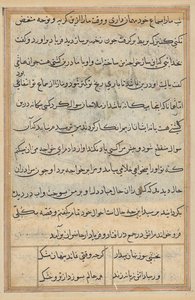 Pagina uit Verhalen van een Papegaai (Tuti-nama): tekstpagina door Unknown artist