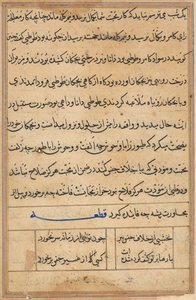 Pagina uit Verhalen van een Papegaai (Tuti-nama): tekstpagina door Unknown artist
