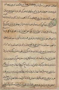 Pagina uit Verhalen van een papegaai (Tuti-nama): tekstpagina door Unknown artist