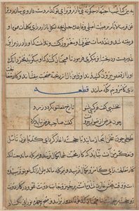 Pagina uit Verhalen van een papegaai (Tuti-nama): tekstpagina door Unknown artist