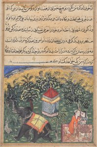 Pagina uit Verhalen van een papegaai (Tuti-nama): tekstpagina