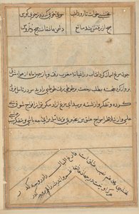 Pagina uit Verhalen van een papegaai (Tuti-nama): tekstpagina door Unknown artist