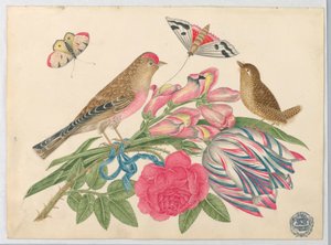 Paar Bruine Vogels op Boeket met Tulp, Roos en Leeuwenbekken, met Vlinders door Unknown artist