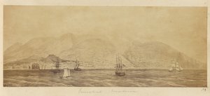 [Panorama van de haven, Funchal, Madeira]. door Unknown artist