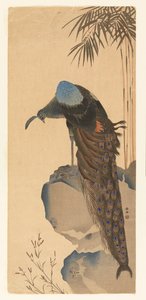 Pauw door Unknown artist