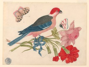 Roze, rode, blauwe en zwarte vogel op tak met bloesems en vlinders