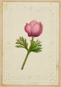 [Roze bloemen notitie kaart]. door Unknown artist