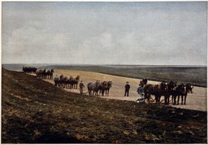 Ploegen op de Manitoba-vlaktes (Canada), eind 19e eeuw door Unknown artist