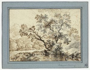 Vijver in een Bebost Landschap