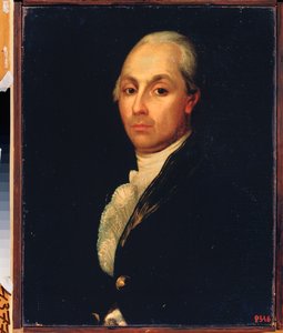 Portret van schrijver Alexander Radisjtsjev (1749-1802) door Unknown artist