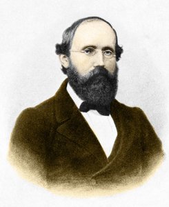 Portret van Bernhard Riemann (1826-1866), Duitse wiskundige door Unknown artist
