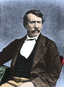 Portret van David Livingstone, Schotse missionaris en ontdekkingsreiziger door Unknown artist