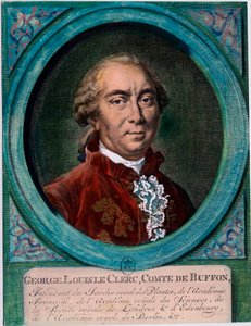 Portret van George Louis Le Clerc, Graaf van Buffon door Unknown artist