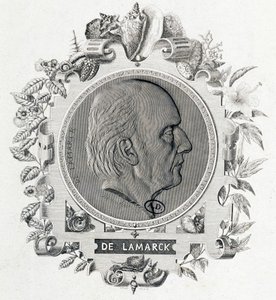 Portret van Jean Baptiste Lamarck - gravure door Unknown artist