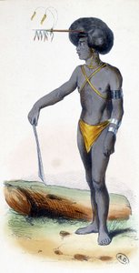 Portret van een Papoea, volk van Nieuw-Guinea. door Unknown artist