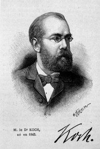 Portret van de Duitse arts Robert Koch (1843-1910) door Unknown artist