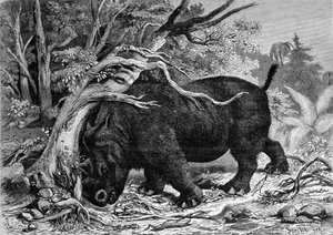 Prehistorie: dinosaurus van de perissodactyl familie, voorouder van de neushoorn, die een boom ontwortelt. Gravure uit de 19e eeuw