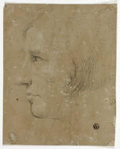 Profiel van mannelijk hoofd naar links door Unknown artist