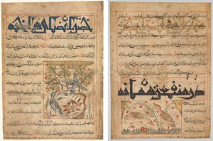 Eigenschappen van ringduiven (recto); Over de voordelen van kwartels (verso), uit een Perzische Manafi‘ al-Hayawan (De voordelen van dieren) van Abu Said Ubaid-Allah ibn Jibrail ibn Bakhtishu (overleden 1058–68)