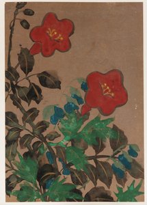 Rode en Blauwe Bloemen en Bladeren
