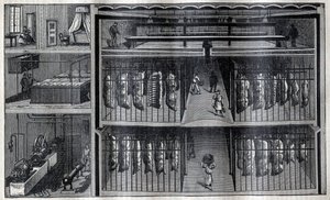 Koelruimtes voor vlees - Gravure uit 