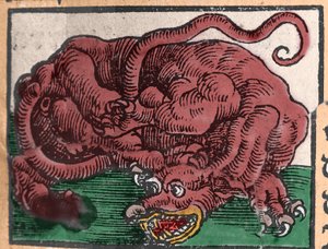 Voorstelling van een draak. Gravure uit 