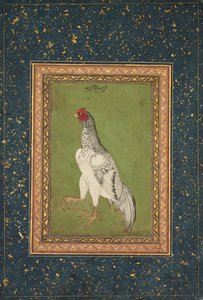 Haan door Unknown artist