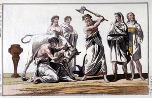 Offer van een stier onder de Kelten. Gravure uit de 19e eeuw. door Unknown artist
