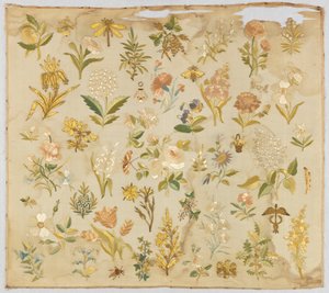 Sampler