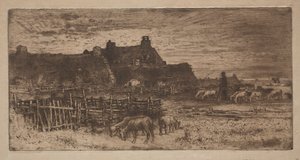 Schapenkooi: Zonsondergang
