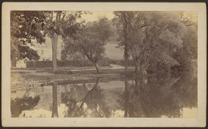 [Silverspring Pond]
