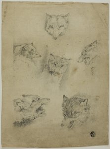 Zes Schetsen van Wolvenkoppen door Unknown artist