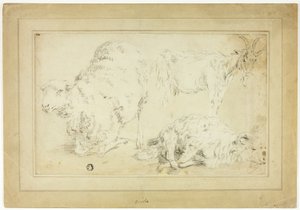 Schetsen van schapen en geit door Unknown artist