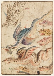 Studies van een draak door Unknown artist