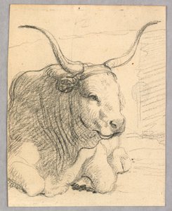 Studie: een liggende koe door Unknown artist