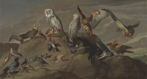 Studie van Vogels door Unknown artist