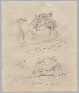 Studie van Kamelen door Unknown artist