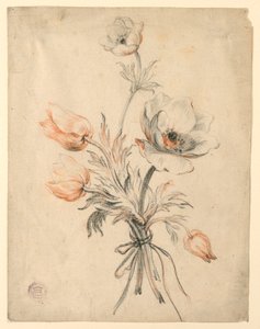 Studie van een bos rozen door Unknown artist
