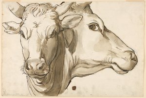 Studie van een koe door Unknown artist