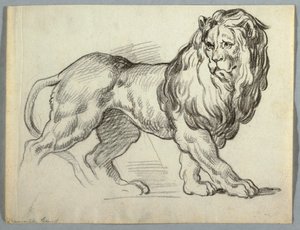 Studie van een Leeuw