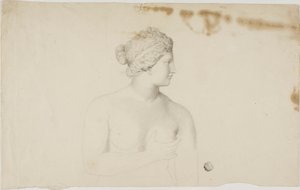 Studie van de Medici Venus door Unknown artist