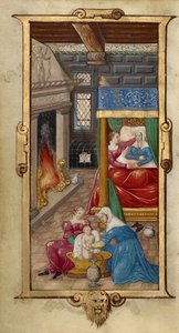 De geboorte van de maagd door Unknown artist