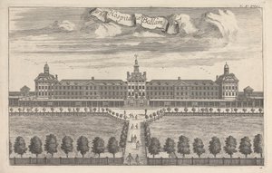 Het ziekenhuis genaamd Bedlam