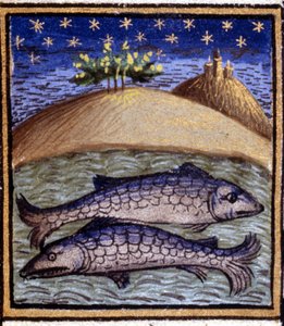 De Vissen. Miniatuur van een horoscoop. 15e-eeuws manuscript. Bibl. Trivulziana, Milaan. door Unknown artist