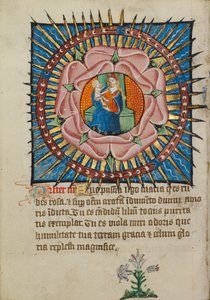 De Maagd en het Kind in een Roze Roos met een Witte Lelie door Unknown artist