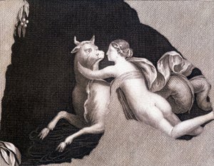 De ontvoering van Europa - gravure