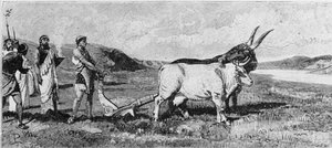 De stichting van Rome. Gravure uit de 19e eeuw.