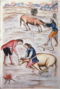 Het rode ijzermerk van een merrie, uit het boek "Trujillo del Peru" of "Códice Martínez Compañón", door Baltazar Martinez Compañón y Bujanda, bisschop van Trujillo (1782-1785) door Unknown artist