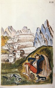 De herder en zijn kudde schapen, uit het boek "Trujillo del Peru" of "Códice Martínez Compañón", door Baltazar Martinez Compañón y Bujanda, bisschop van Trujillo (1782-1785) door Unknown artist